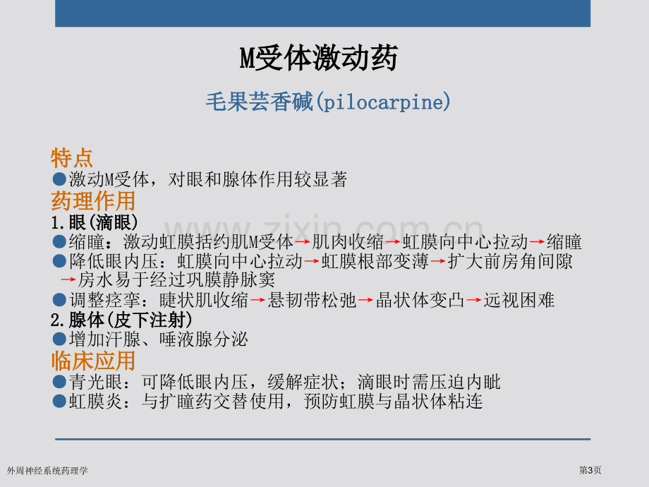 外周神经系统药理学专家讲座.pptx_第3页