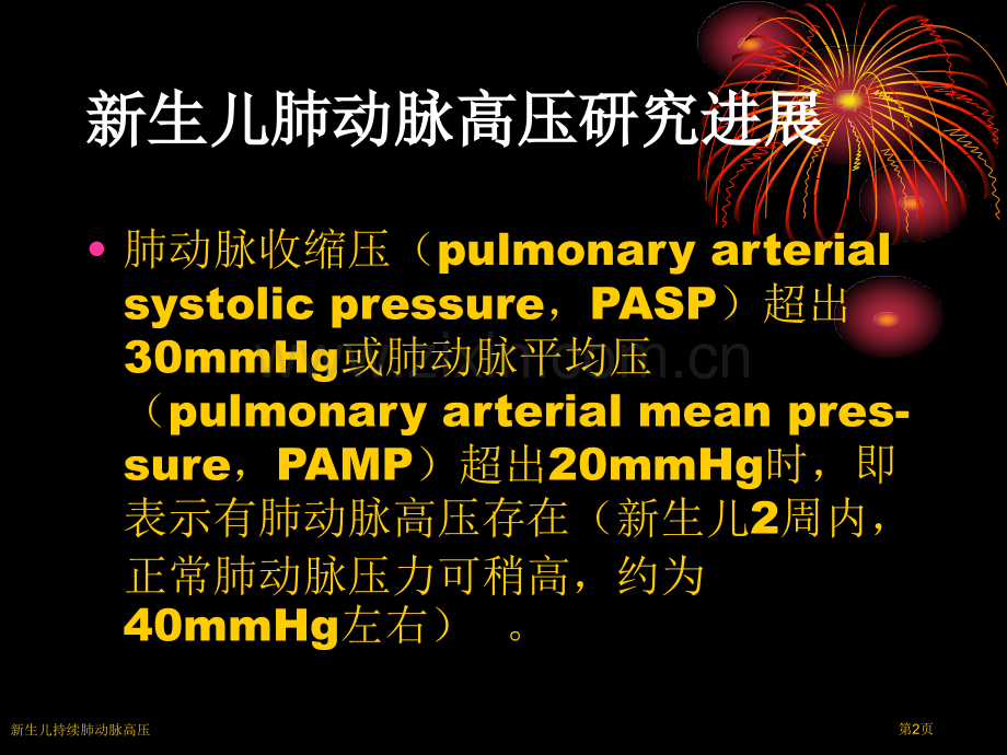 新生儿持续肺动脉高压专家讲座.pptx_第2页