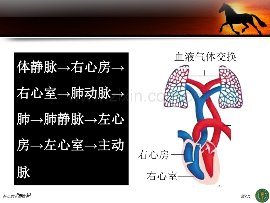 肺心病专题宣讲.pptx_第2页