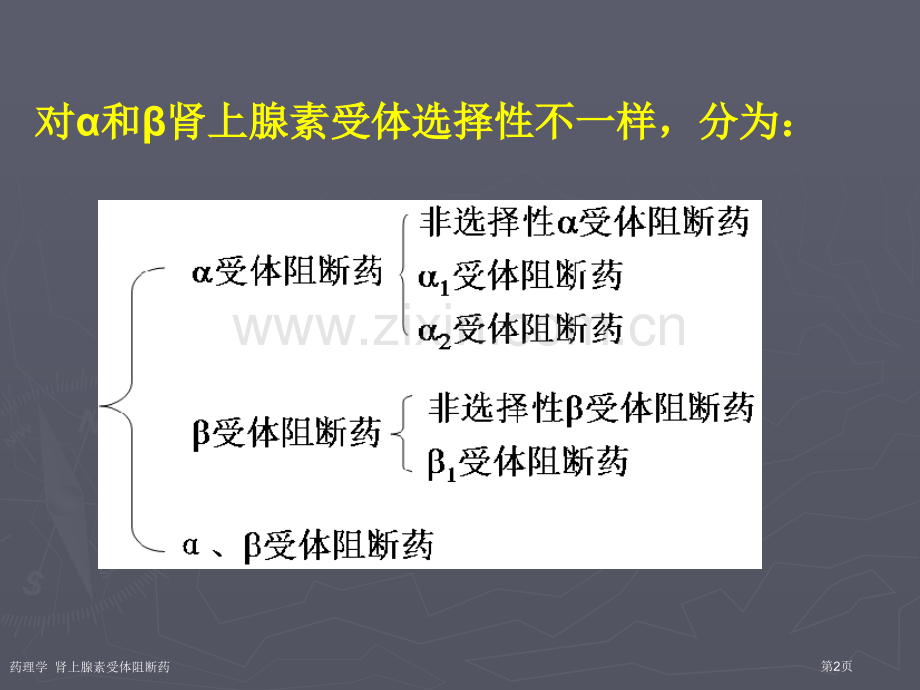 药理学--肾上腺素受体阻断药专家讲座.pptx_第2页