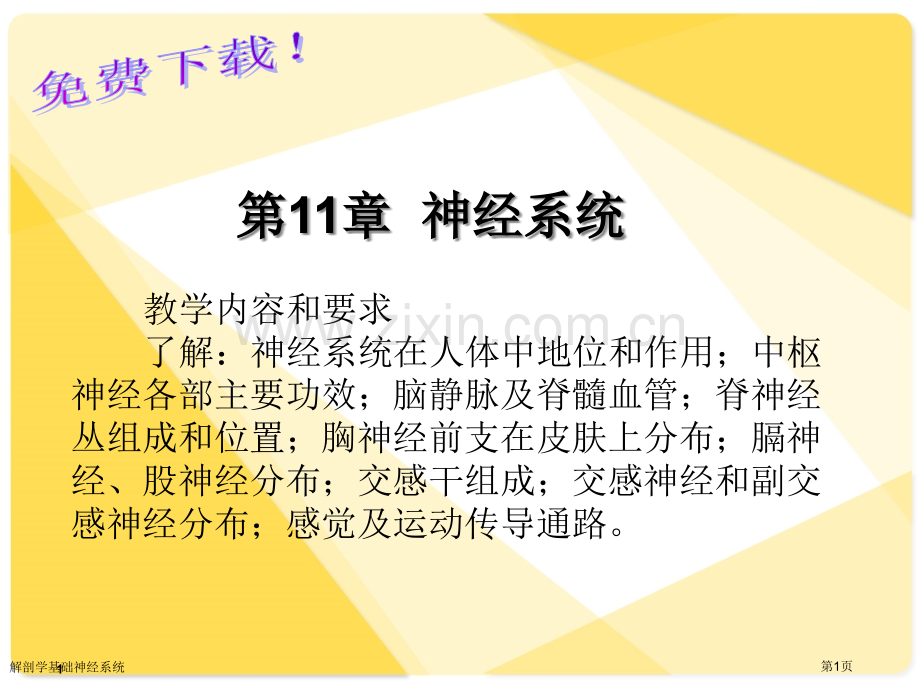 解剖学基础神经系统专家讲座.pptx_第1页