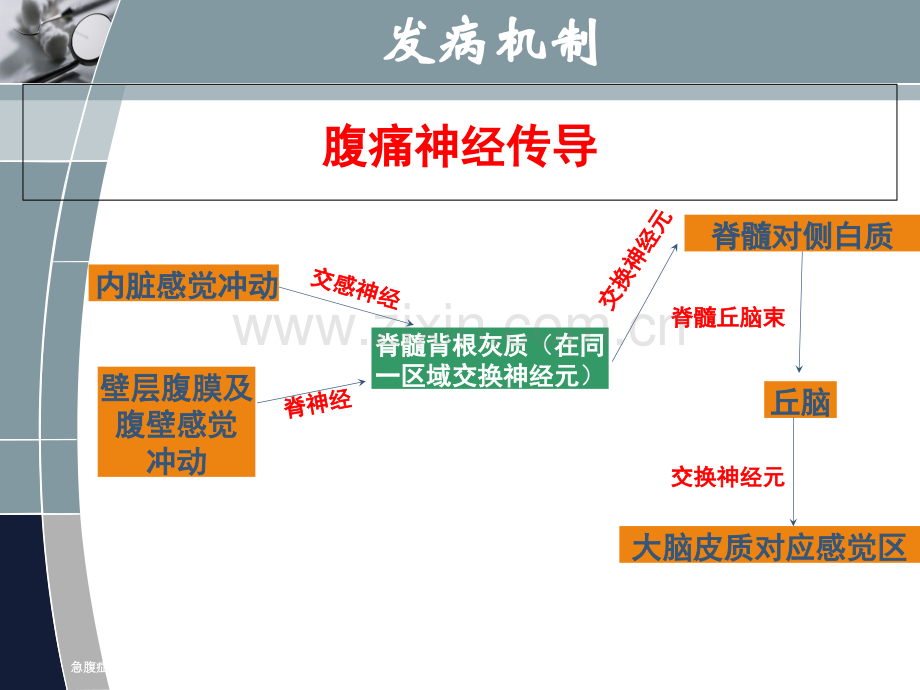 急腹症的分诊.pptx_第3页