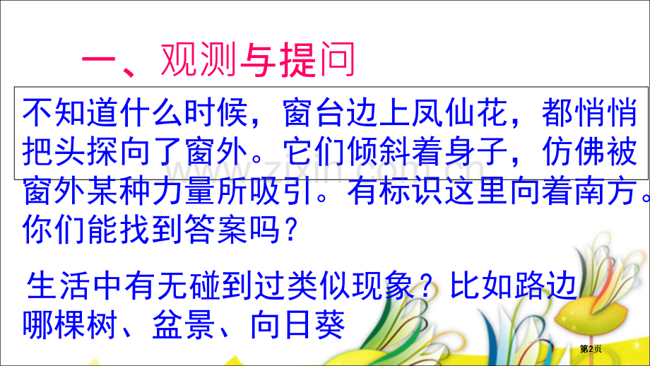 植物角里的科学问题公开课一等奖优质课大赛微课获奖课件.pptx_第2页