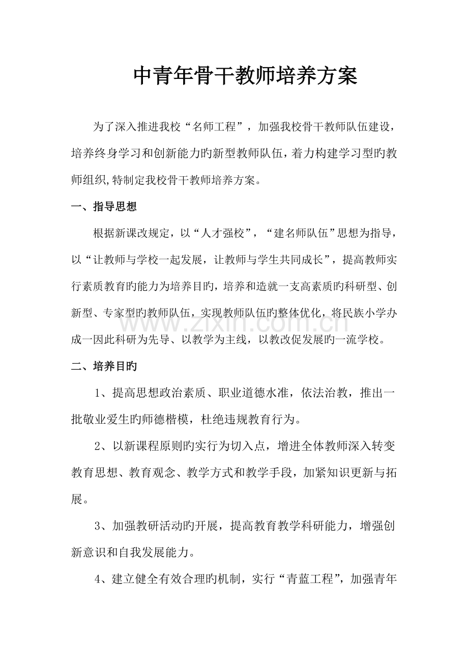 青年骨干教师培养方案.doc_第1页