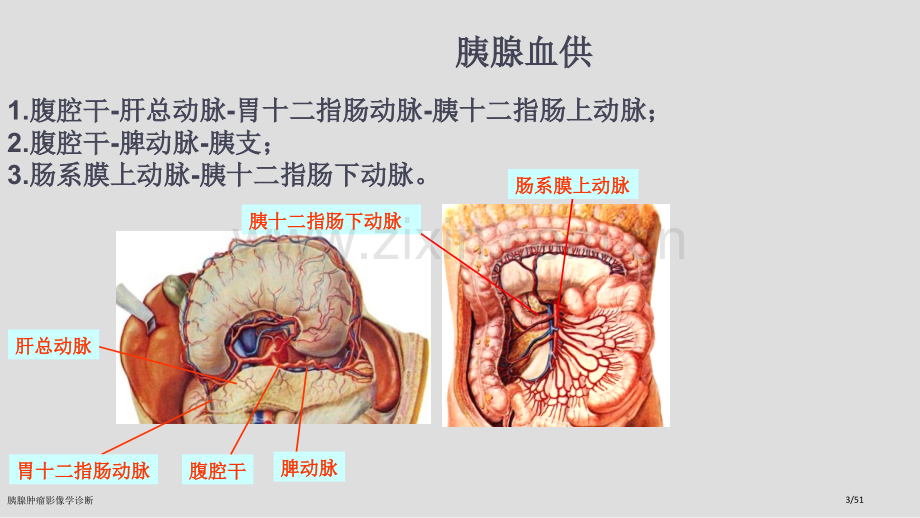 胰腺肿瘤影像学诊断.pptx_第3页