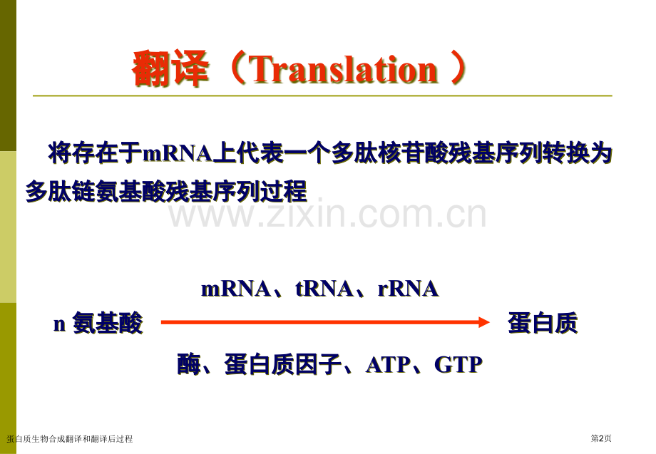 蛋白质生物合成翻译和翻译后过程专家讲座.pptx_第2页