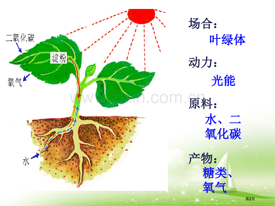 能量之源光和光合作用教学公开课一等奖优质课大赛微课获奖课件.pptx_第2页