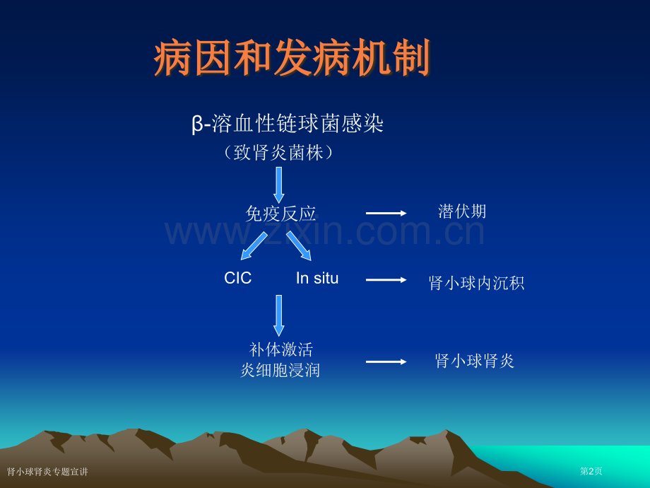 肾小球肾炎专题宣讲专家讲座.pptx_第2页