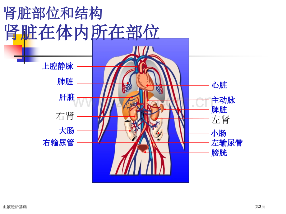 血液透析基础专家讲座.pptx_第3页