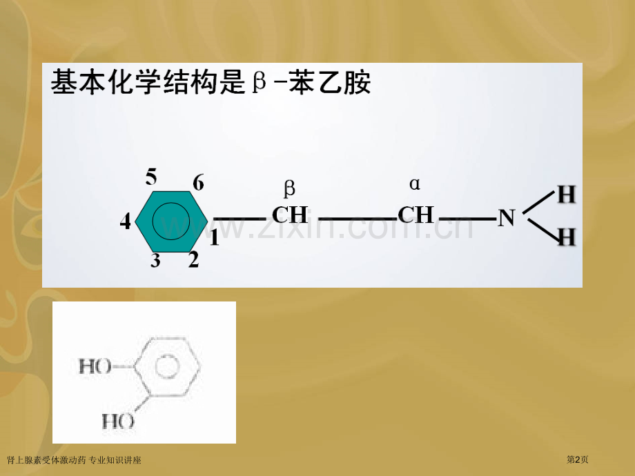 肾上腺素受体激动药-专业知识讲座专家讲座.pptx_第2页