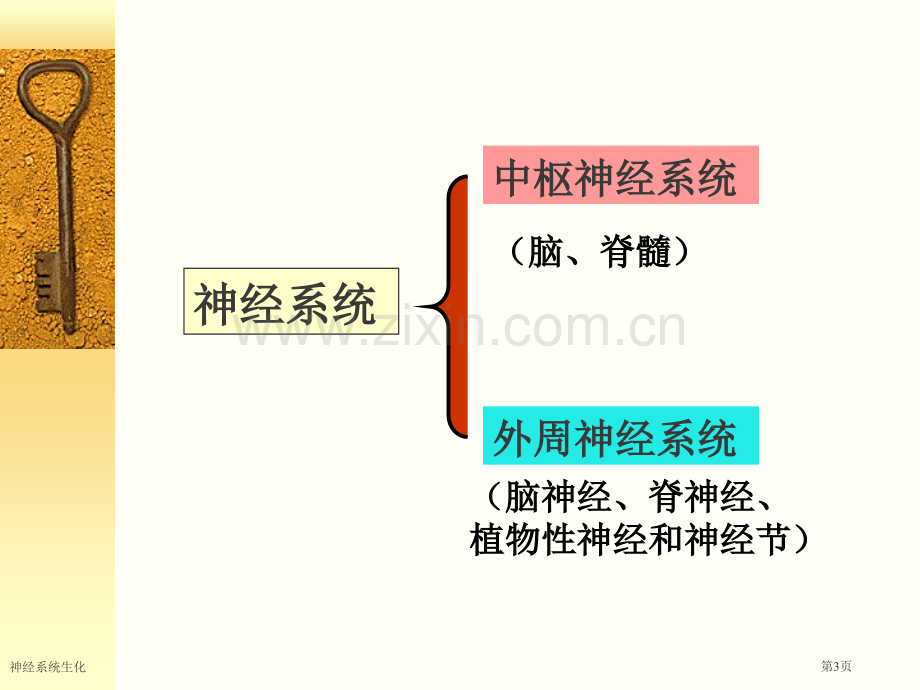 神经系统生化专家讲座.pptx_第3页