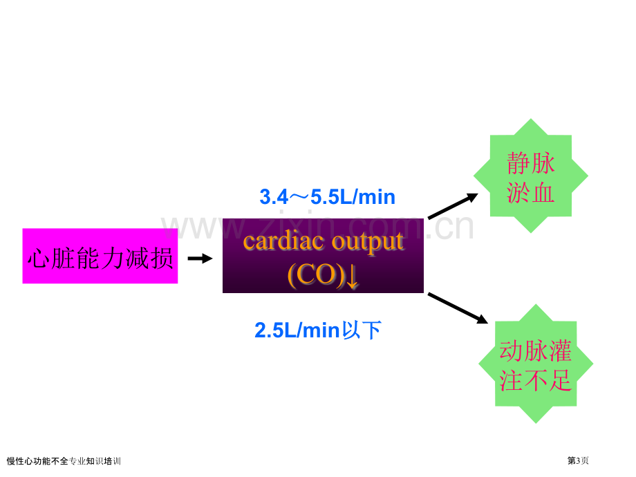 慢性心功能不全专业知识培训专家讲座.pptx_第3页