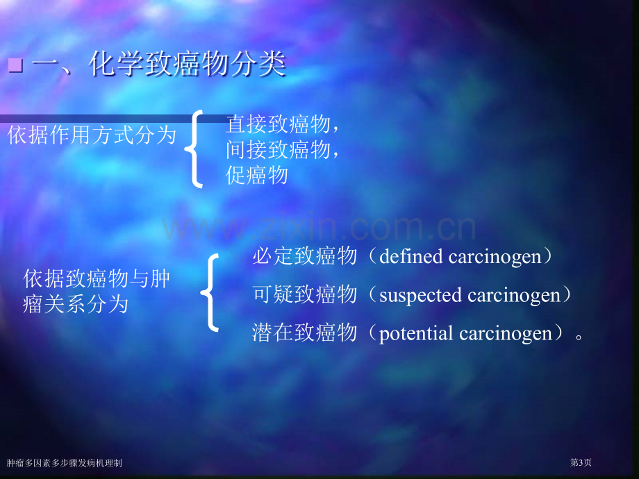 肿瘤多因素多步骤发病机理制专家讲座.pptx_第3页