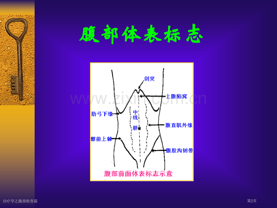 诊疗学之腹部检查篇专家讲座.pptx_第2页