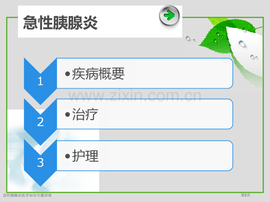 急性胰腺炎医学知识专题讲座.pptx_第2页