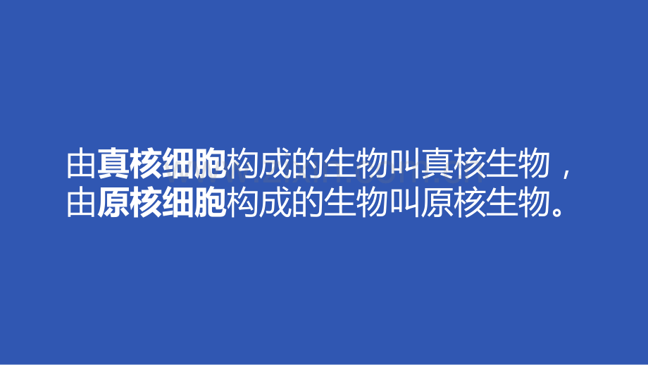 c1s1p0细胞的多样性和统一性.pptx_第3页