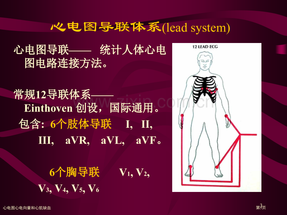 心电图心电向量和心肌缺血专家讲座.pptx_第2页