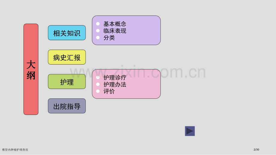 椎管内肿瘤护理查房.pptx_第2页