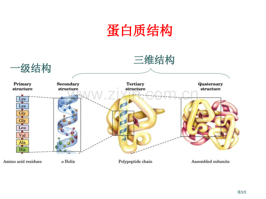 生物化学习题课公开课一等奖优质课大赛微课获奖课件.pptx_第3页