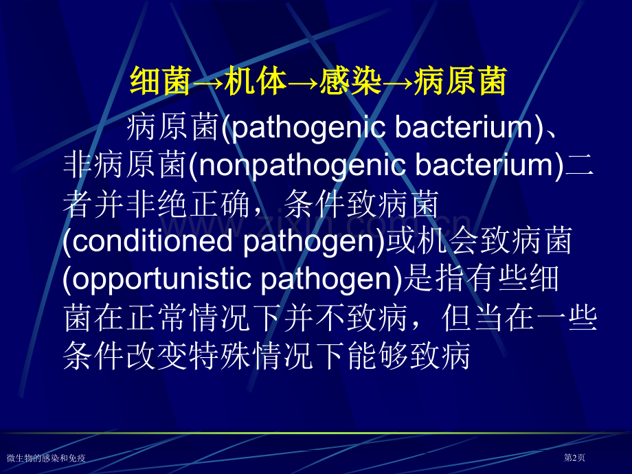 微生物的感染和免疫专家讲座.pptx_第2页