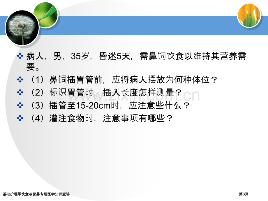 基础护理学饮食与营养专题医学知识宣讲.pptx_第3页