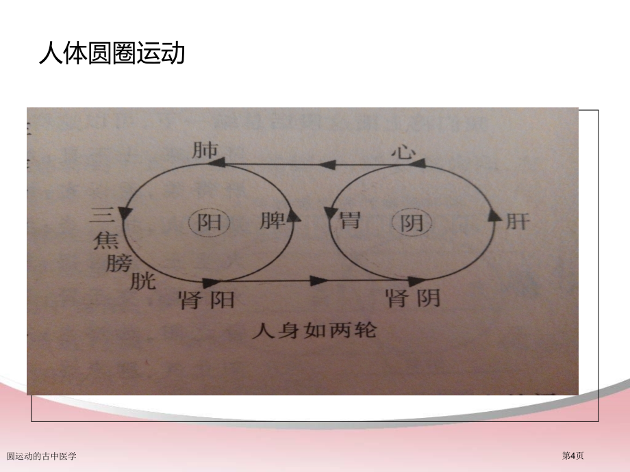 圆运动的古中医学专家讲座.pptx_第3页