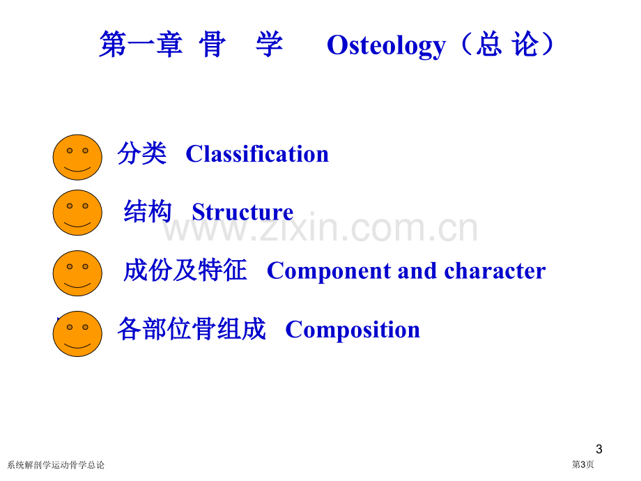 系统解剖学运动骨学总论专家讲座.pptx_第3页