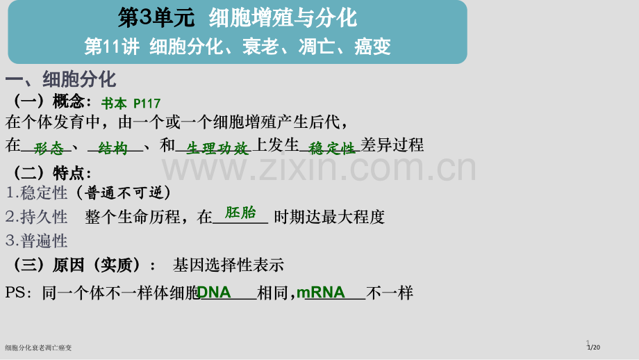 细胞分化衰老凋亡癌变.pptx_第1页