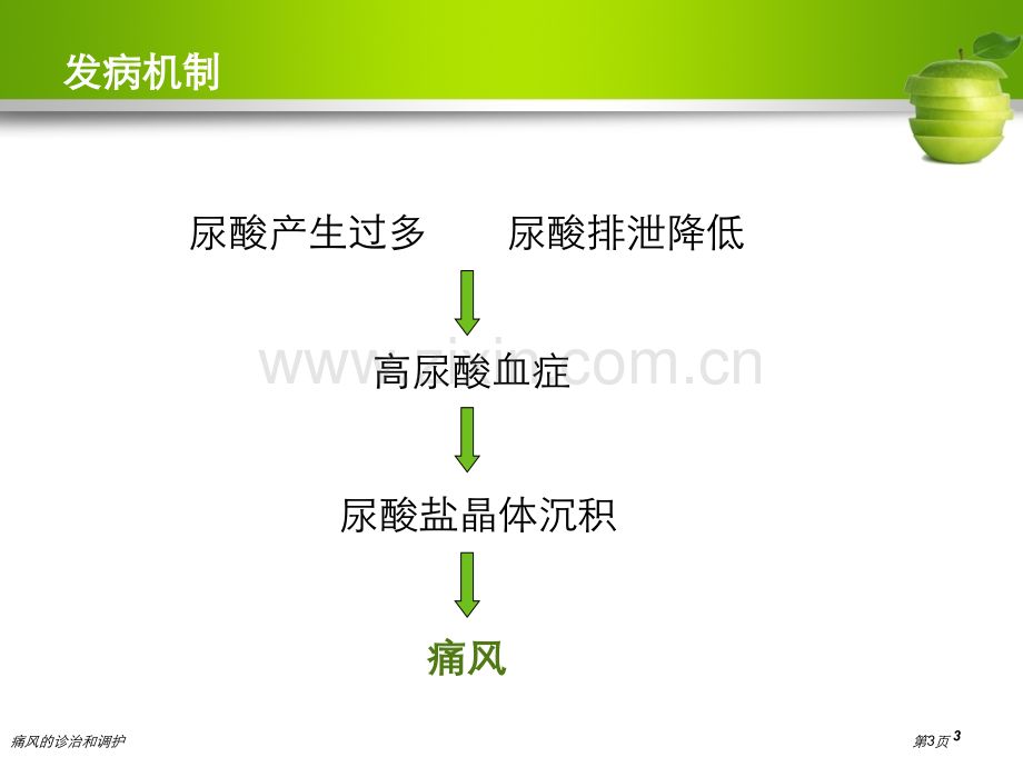 痛风的诊治和调护专家讲座.pptx_第3页