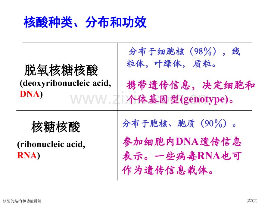 核酸的结构和功能讲解专家讲座.pptx_第3页