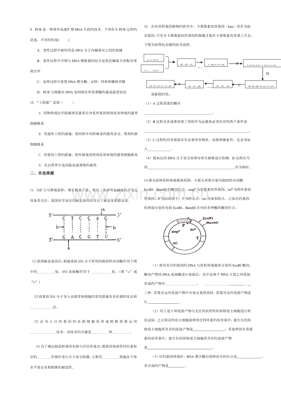 高二生物选修三基因工程测试题含答案.doc_第2页