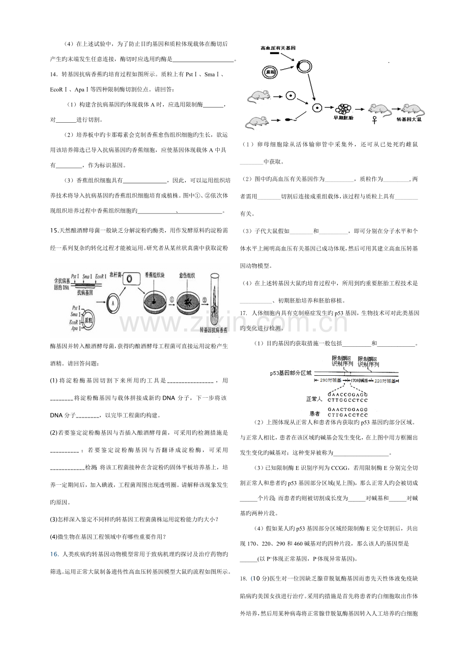 高二生物选修三基因工程测试题含答案.doc_第3页