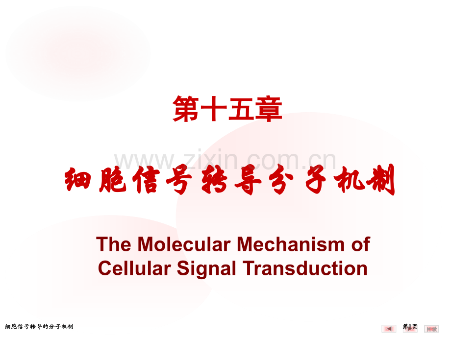 细胞信号转导的分子机制专家讲座.pptx_第1页