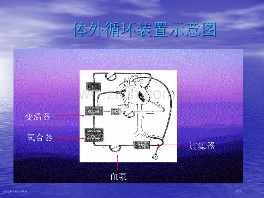 心脏疾病专业知识讲解专家讲座.pptx_第3页