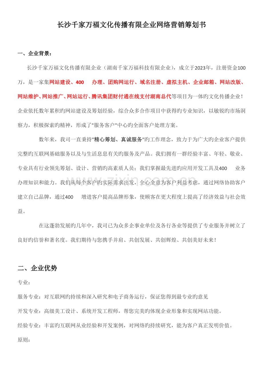 网络营销策划书案例.doc_第1页