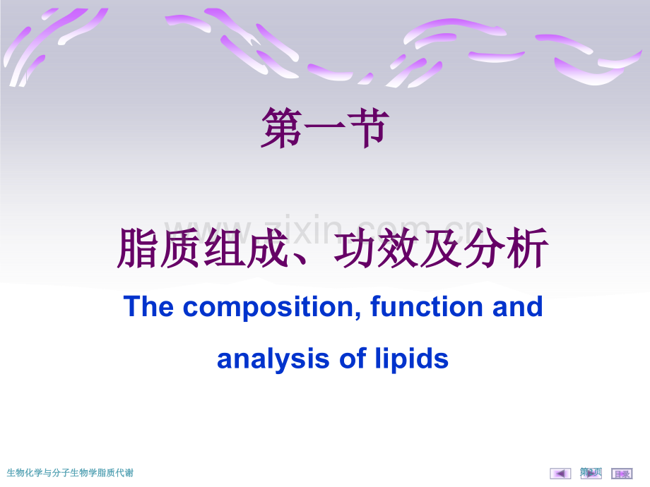 生物化学与分子生物学脂质代谢专家讲座.pptx_第2页