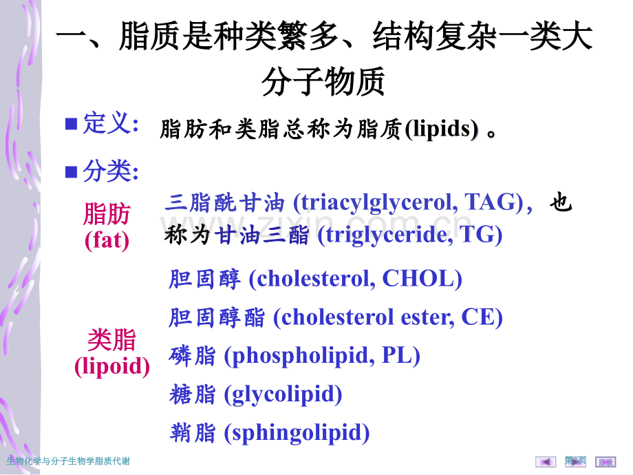 生物化学与分子生物学脂质代谢专家讲座.pptx_第3页