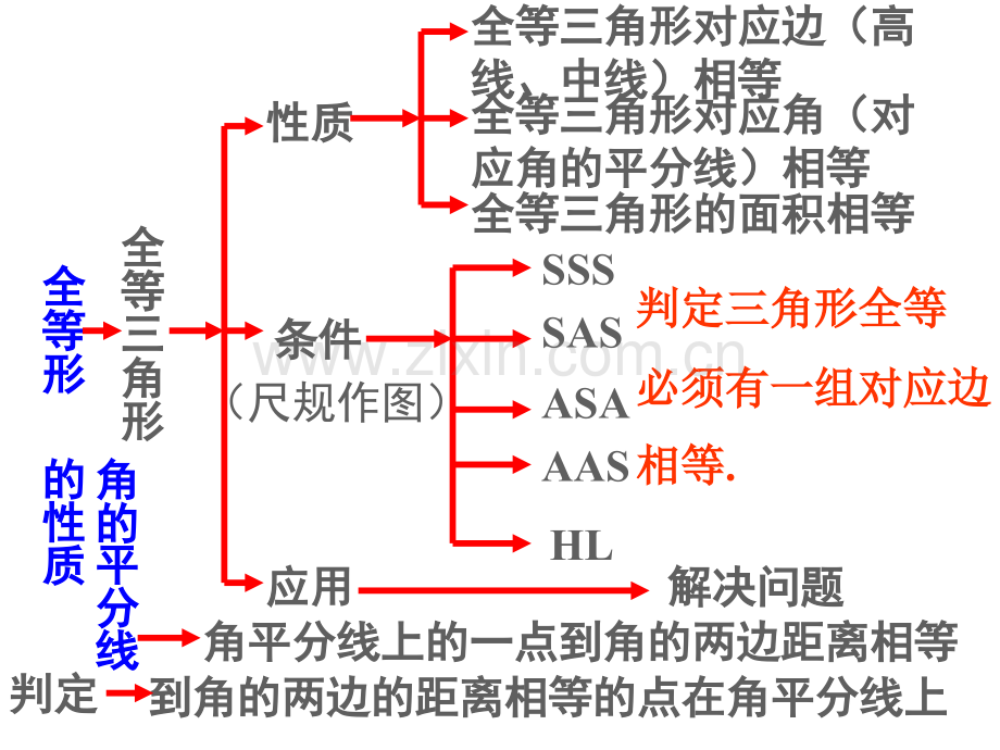 12全等三角形总复习版.pptx_第2页