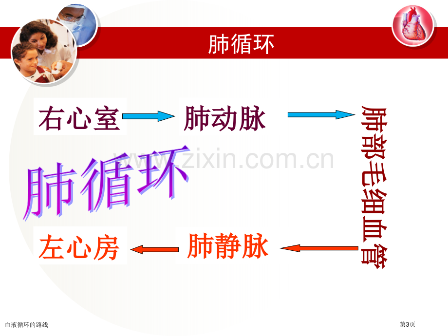 血液循环的路线专家讲座.pptx_第3页