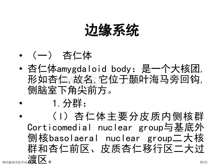 神经解剖学医学知识讲座专家讲座.pptx_第2页