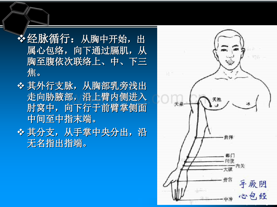 10手厥阴心包经穴.pptx_第2页