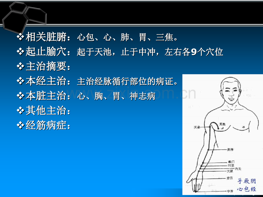 10手厥阴心包经穴.pptx_第3页