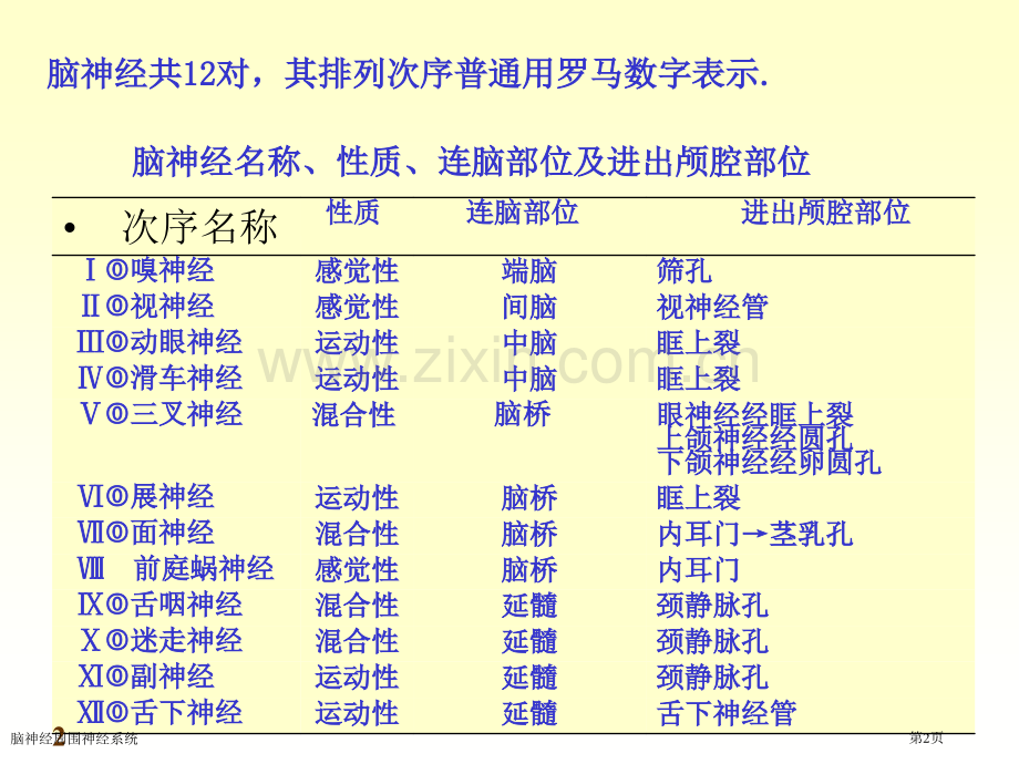 脑神经周围神经系统专家讲座.pptx_第2页