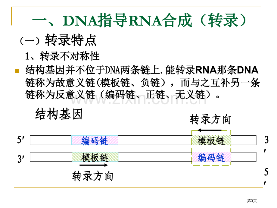 简化RNA的生物合成公开课一等奖优质课大赛微课获奖课件.pptx_第3页