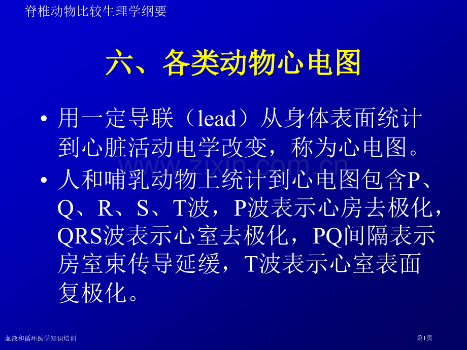 血液和循环医学知识培训专家讲座.pptx_第1页