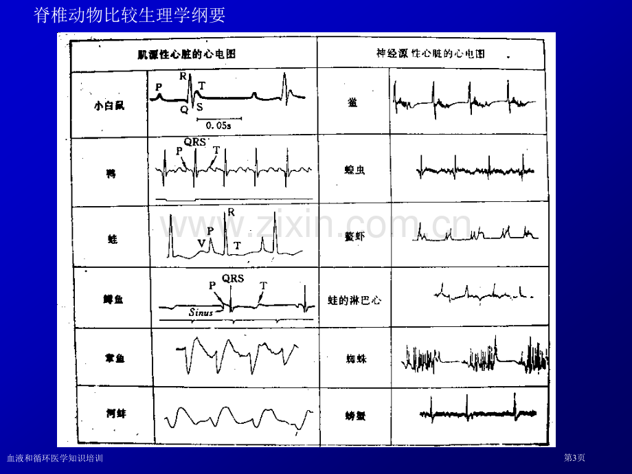 血液和循环医学知识培训专家讲座.pptx_第3页