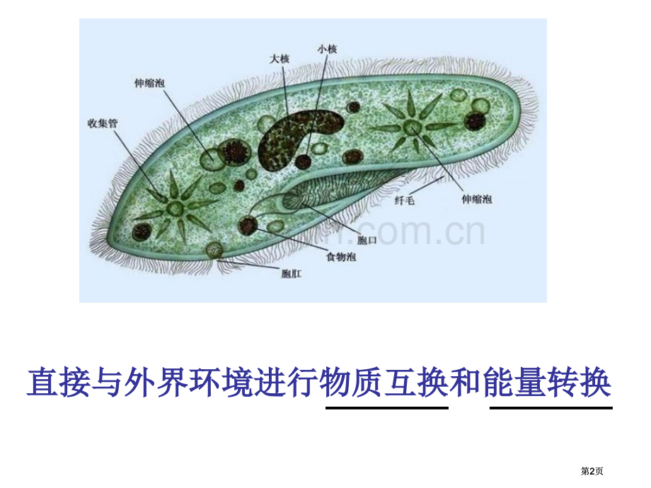 苏教版教学江苏省南京市东山外语国际学校高三生物稳态的生理意义公开课一等奖优质课大赛微课获奖课件.pptx_第2页