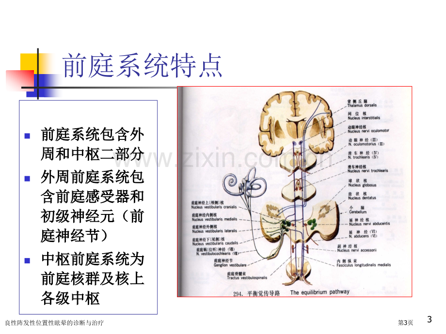 良性阵发性位置性眩晕的诊断与治疗.pptx_第3页