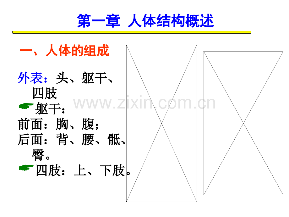 1体育4体育保健汇总-PPT课件.pptx_第3页