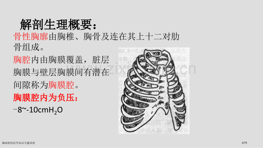 胸部损伤医学知识专题讲座.pptx_第3页